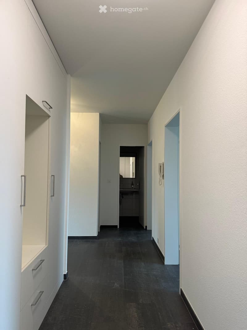 Modern 4.5-room apartment with balcony and lift in Pratteln (9)