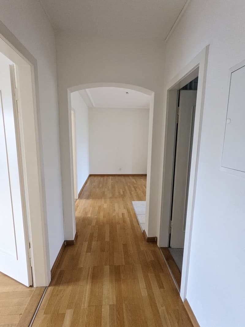 Joli appartement 3 pièces avec cheminée sur Neue Bahnhofstr. à Muttenz (11)