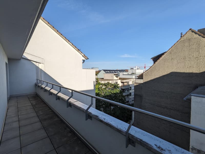 Living above the roofs of Basel, near Kannefeldpark (11)