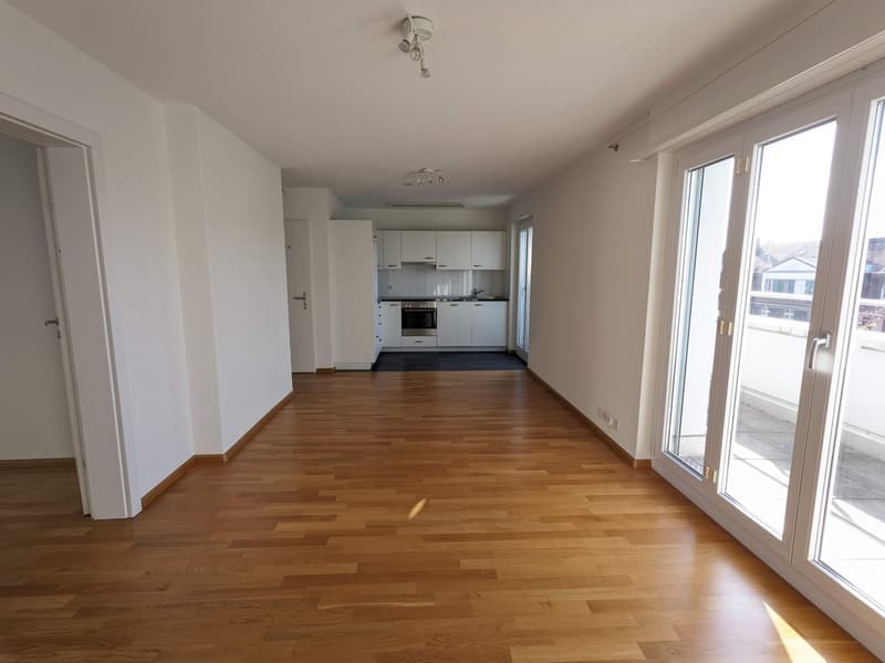 Living above the roofs of Basel, near Kannefeldpark (3)