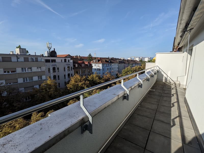 Living above the roofs of Basel, near Kannefeldpark (12)
