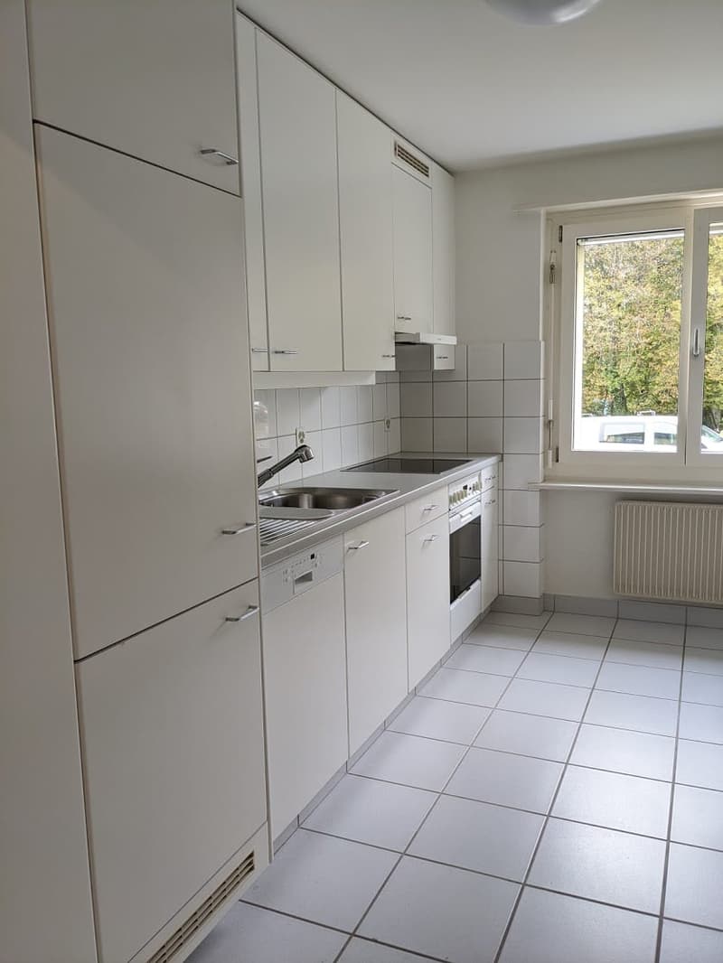 Beautiful 3-room apartment in a small multi-family house in Arlesheim (2)