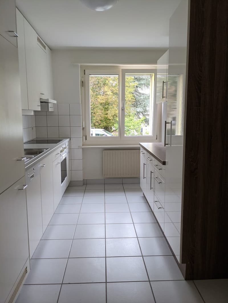 Beautiful 3-room apartment in a small multi-family house in Arlesheim (3)