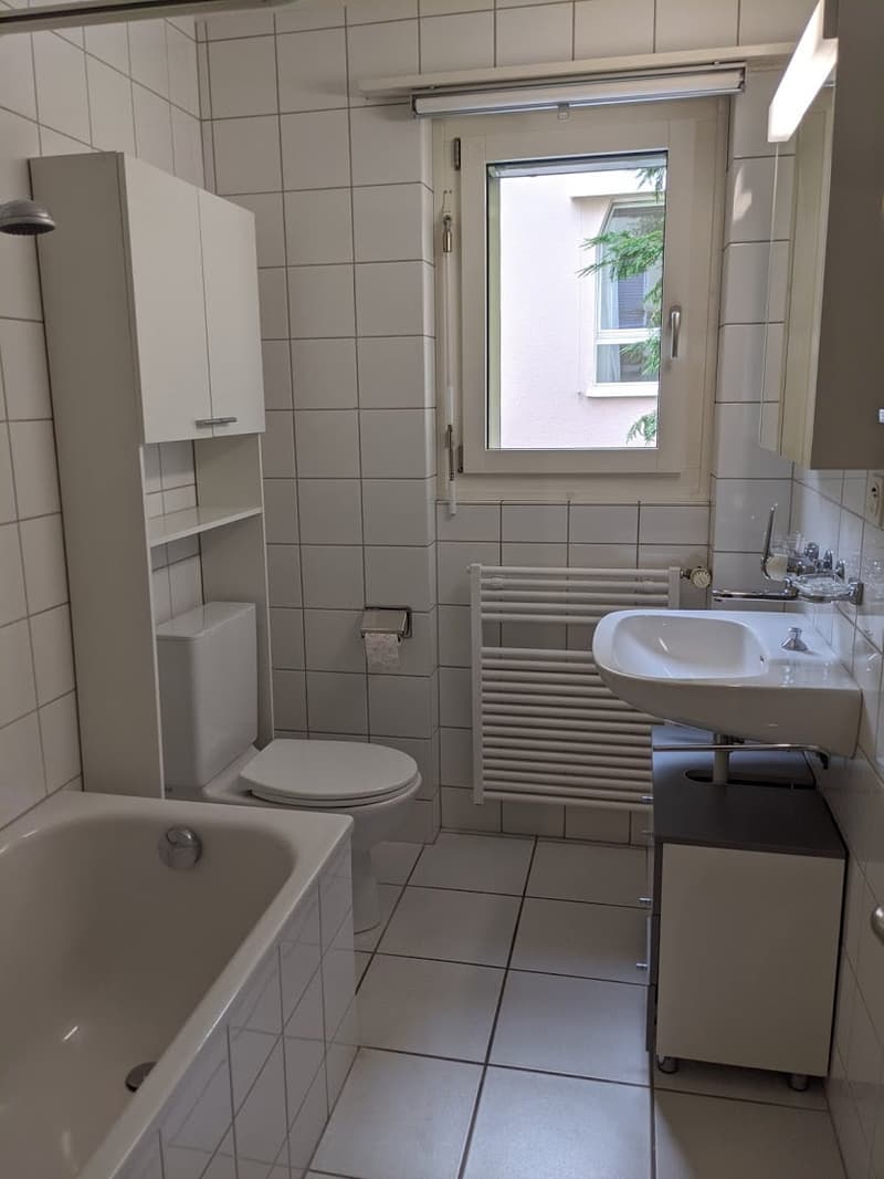 Beautiful 3-room apartment in a small multi-family house in Arlesheim (10)