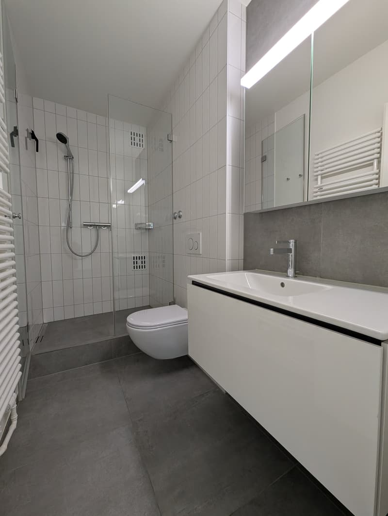 Appartement attique exclusif de 4,5 pièces avec 2 terrasses à St. Johann (7)