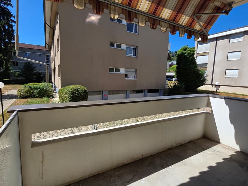 Appartamento ristrutturato di 2,5 locali in una zona residenziale tranquilla immersa nel verde (13)
