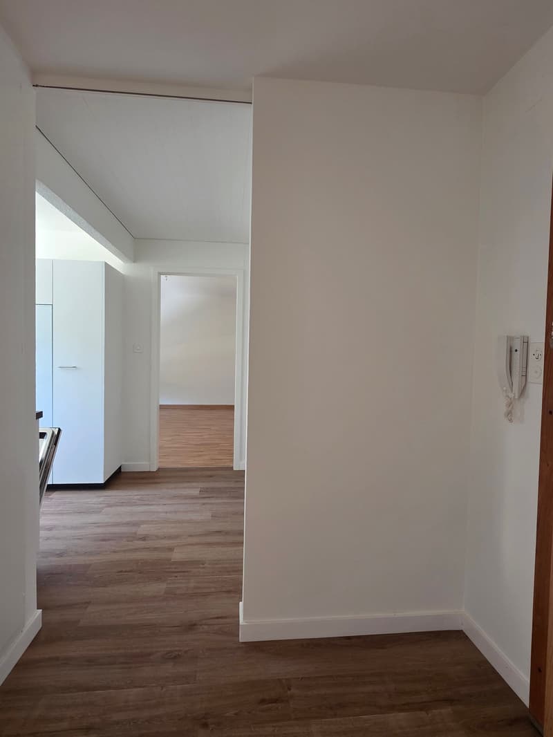 Appartamento ristrutturato di 2,5 locali in una zona residenziale tranquilla immersa nel verde (11)