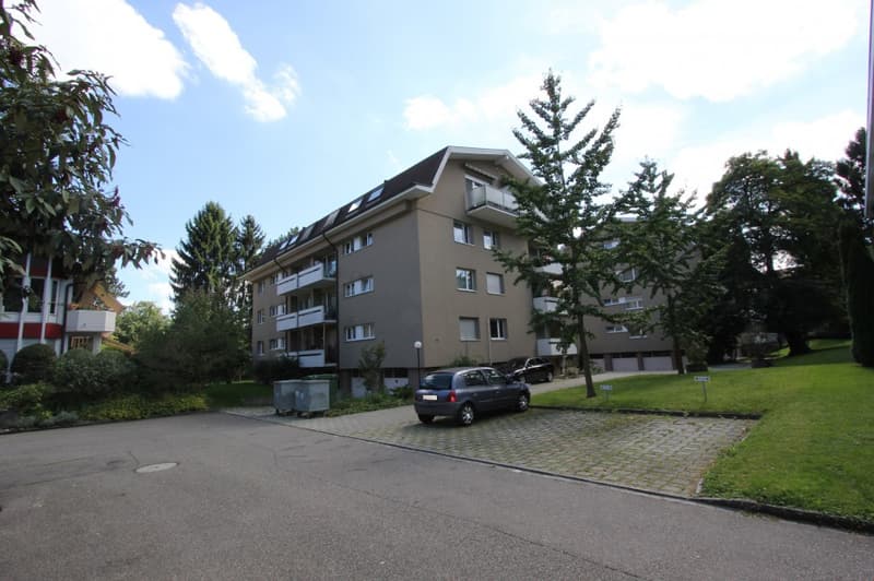 Appartamento ristrutturato di 2,5 locali in una zona residenziale tranquilla immersa nel verde (2)