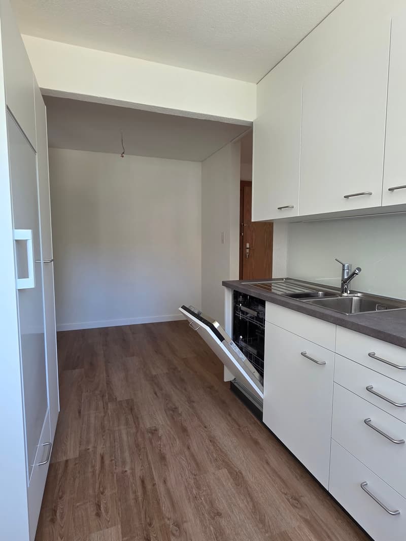 Appartamento ristrutturato di 2,5 locali in una zona residenziale tranquilla immersa nel verde (6)