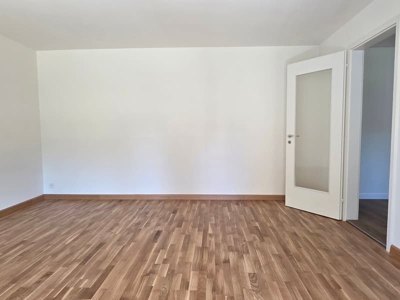 Appartamento ristrutturato di 2,5 locali in una zona residenziale tranquilla immersa nel verde (10)