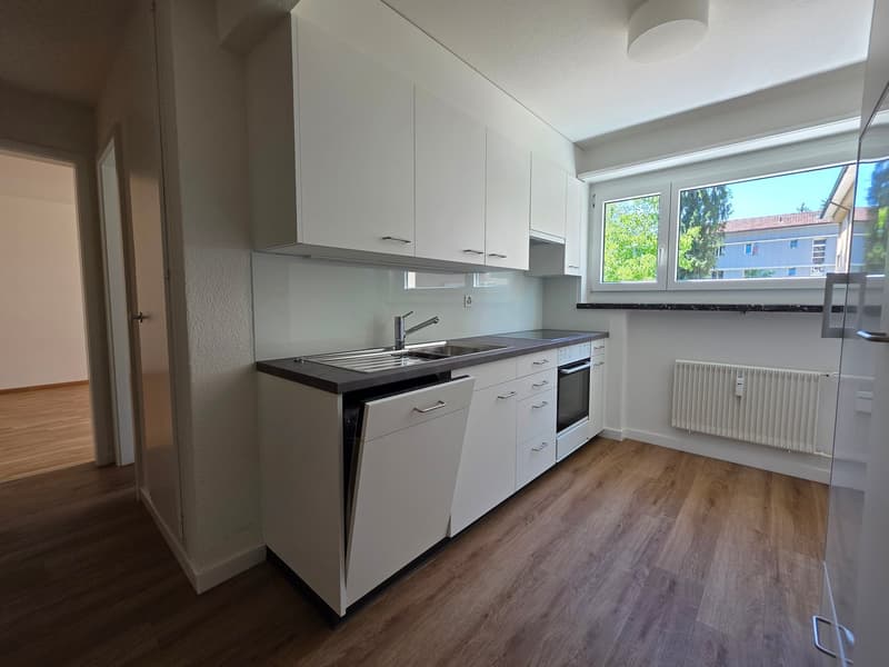 Appartamento ristrutturato di 2,5 locali in una zona residenziale tranquilla immersa nel verde (4)