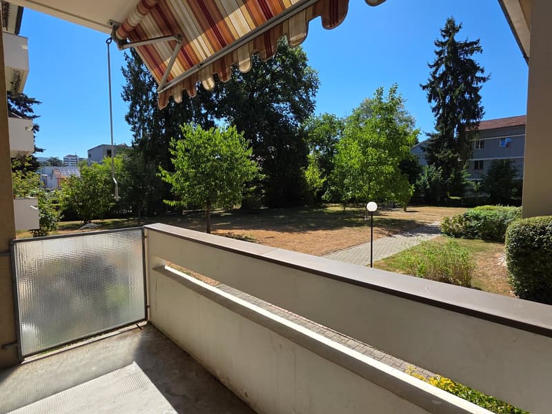 Appartamento ristrutturato di 2,5 locali in una zona residenziale tranquilla immersa nel verde (14)