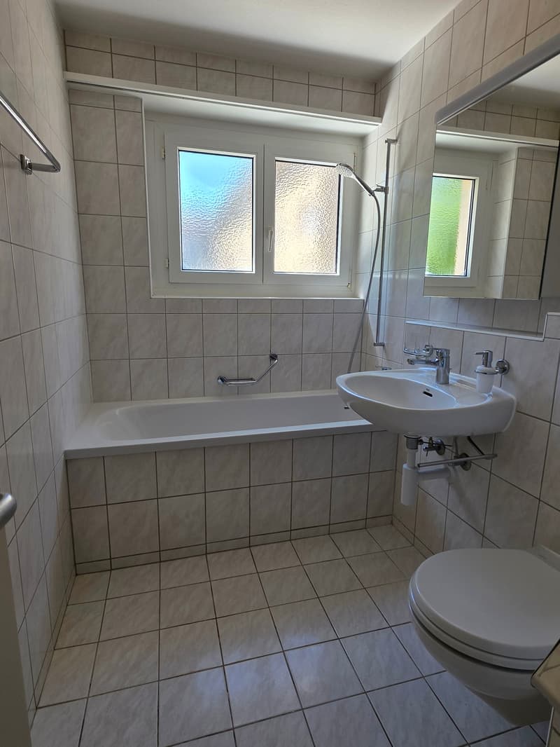 Appartamento ristrutturato di 2,5 locali in una zona residenziale tranquilla immersa nel verde (12)