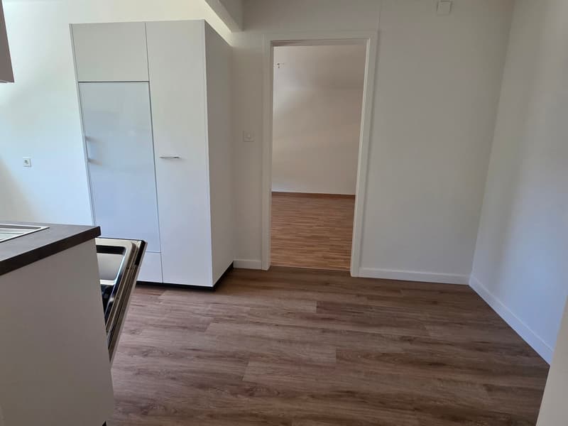 Appartamento ristrutturato di 2,5 locali in una zona residenziale tranquilla immersa nel verde (7)