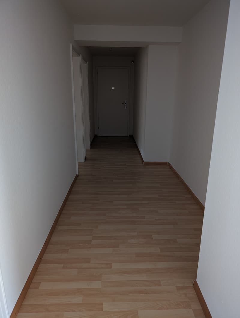 Schöne 4-Zimmer-Wohnung mit 2 Balkonen in Arlesheim (8)