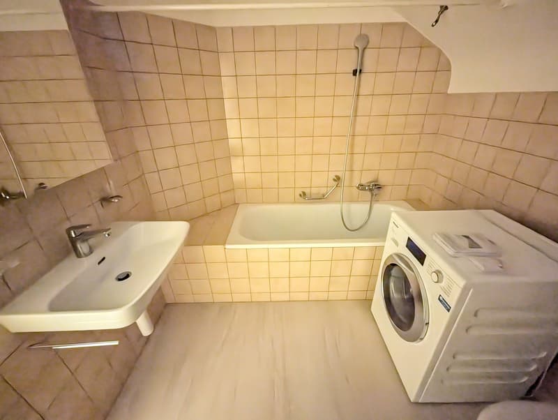 Teilsanierte 2.5-Zimmer-Dachwohnung (7)