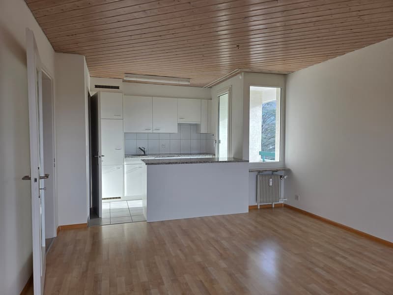 Hübsche,  helle 4-Zimmer-Whg mit toller Aussicht (6.OG mit Lift) in Arlesheim (4)