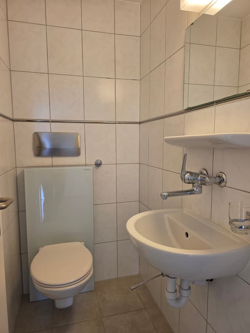 Hübsche,  helle 4-Zimmer-Whg mit toller Aussicht (6.OG mit Lift) in Arlesheim (7)