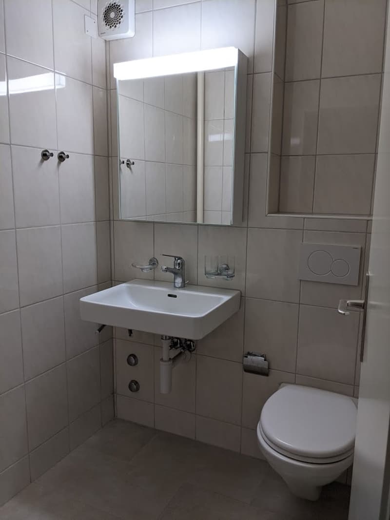 Sanierte 3.5-Zimmerwohnung mit Gartensitzplatz im alten Dorfkern (3)