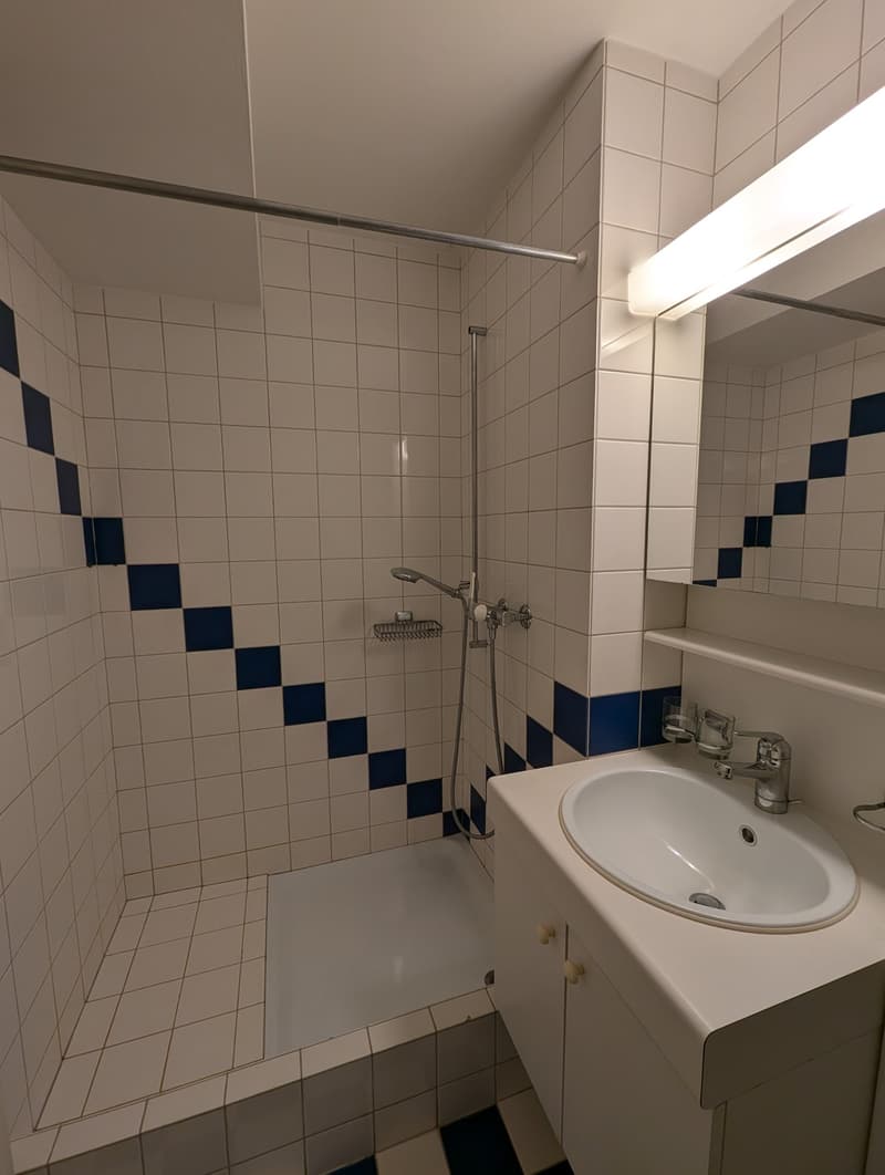 Dachwohnung im Dorfkern von Arlesheim (10)