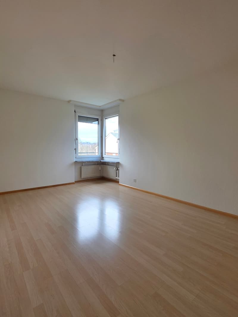 Hübsche,  helle 4-Zimmer-Whg mit toller Aussicht (6.OG mit Lift) in Arlesheim (10)
