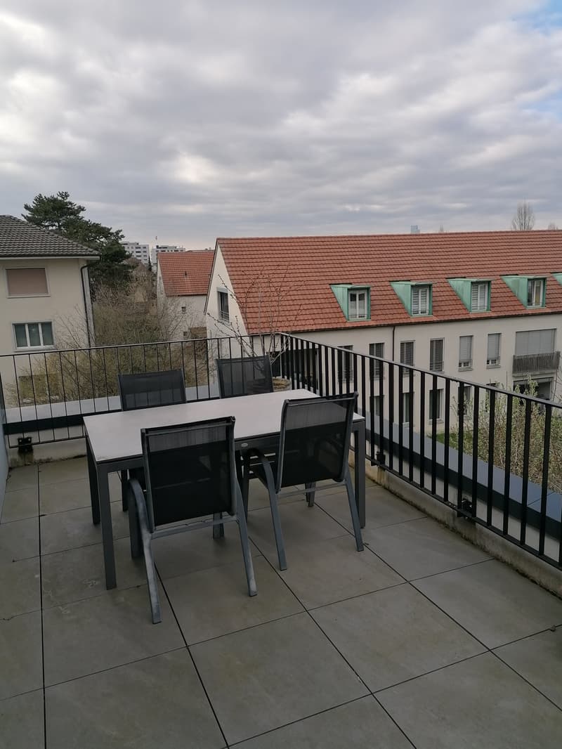 Top moderne 3,5-ZWG mit Waschturm, Terrasse (11m²) an der St. Jakob-Str. 110, Muttenz (5)