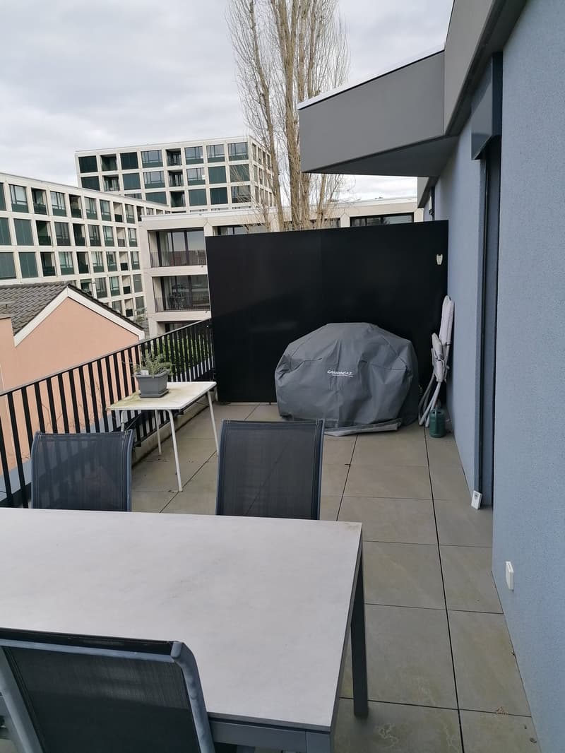Top moderne 3,5-ZWG mit Waschturm, Terrasse (11m²) an der St. Jakob-Str. 110, Muttenz (4)