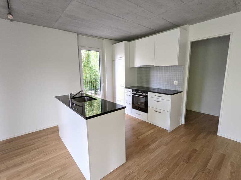 Top moderne 3,5-ZWG mit Waschturm, Terrasse (11m²) an der St. Jakob-Str. 110, Muttenz (1)