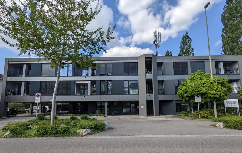 Top moderne 3,5-ZWG mit Waschturm, Terrasse (11m²) an der St. Jakob-Str. 110, Muttenz (12)