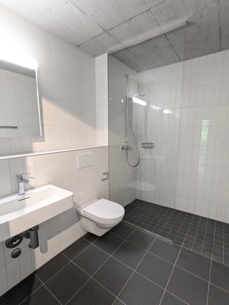 Top moderne 3,5-ZWG mit Waschturm, Terrasse (11m²) an der St. Jakob-Str. 110, Muttenz (6)