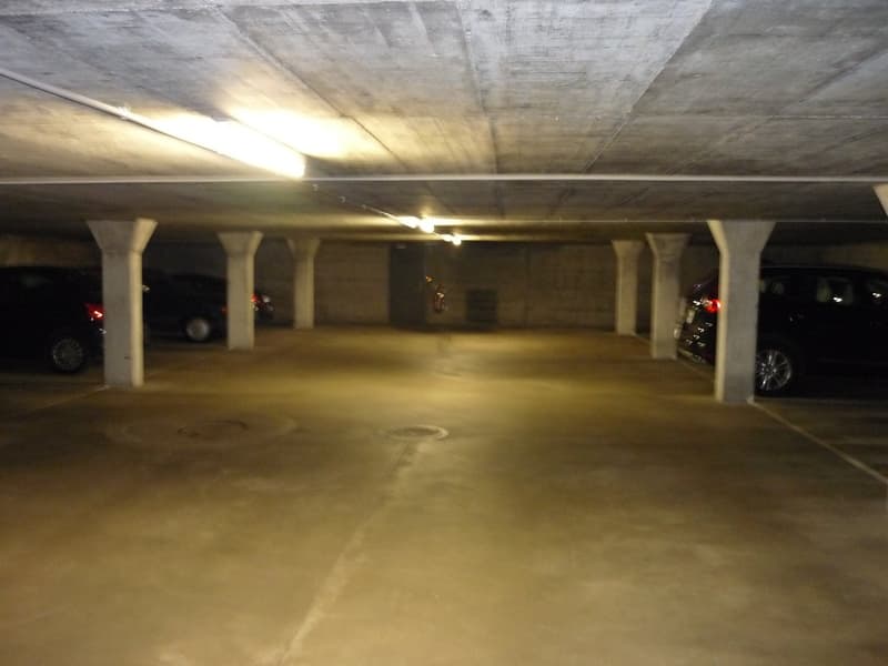 Grosse, ruhige 4-Zi-Whg mit eigenem Waschturm im Zentrum von Reinach (12)