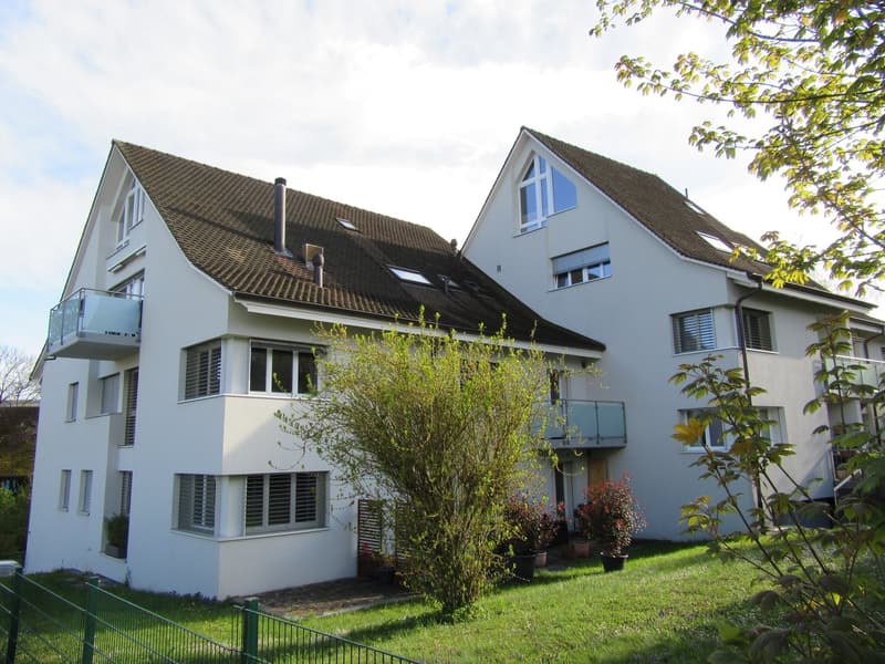 Schöne, ruhige 2-Z'Wohnung in Therwil (1)