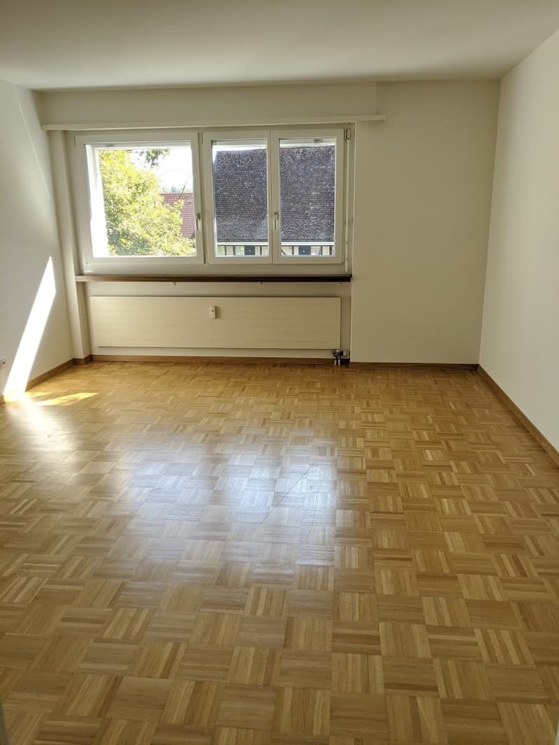 Schöne, ruhige 2-Z'Wohnung in Therwil (7)