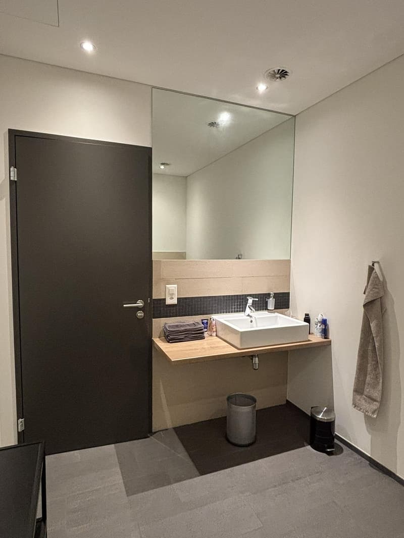 modern bathroom, white sink, mirror, door, grey tiles, wall-mounted towel rack, power outlet, two trash cans, toiletries