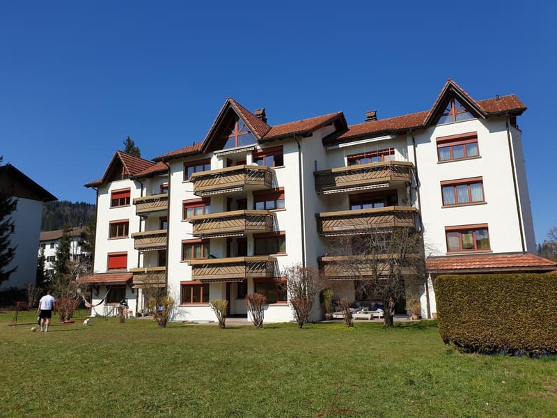 Appartement avec tour de buanderie privée et poêle en faïence (9)