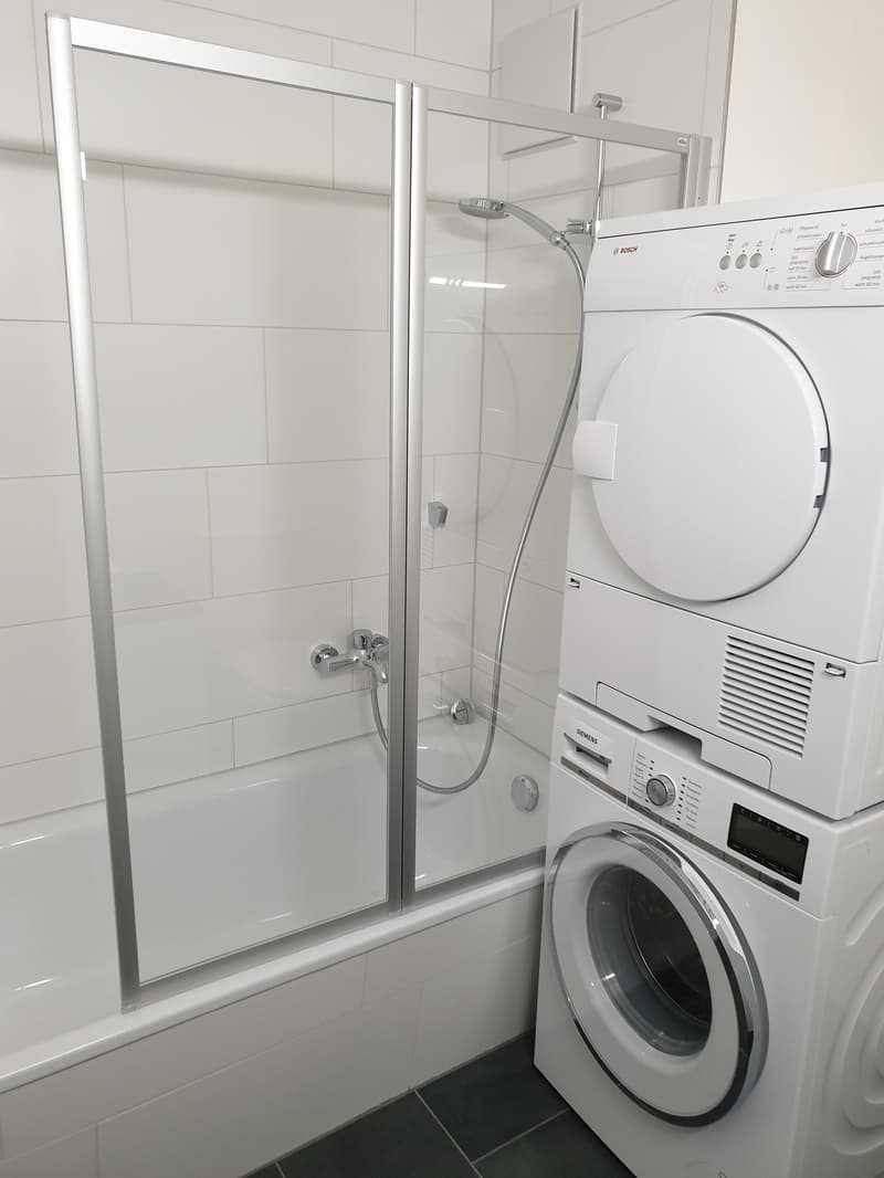 Appartement avec tour de buanderie privée et poêle en faïence (7)