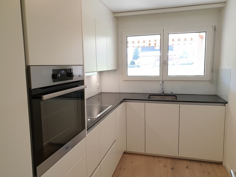 Appartement avec tour de buanderie privée et poêle en faïence (4)