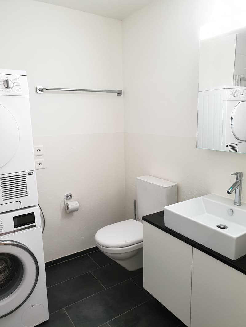 Appartement avec tour de buanderie privée et poêle en faïence (6)