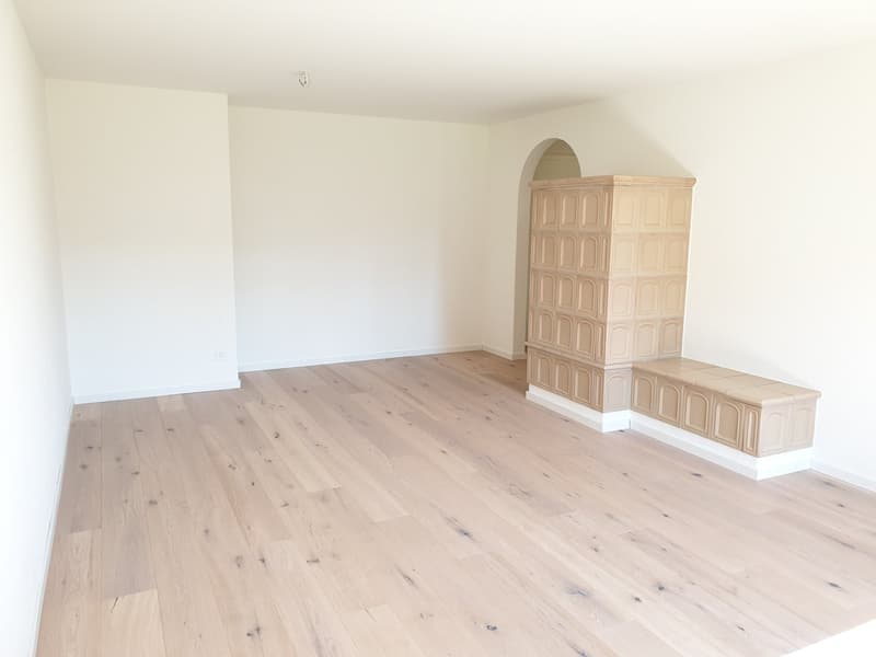 Appartement avec tour de buanderie privée et poêle en faïence (2)