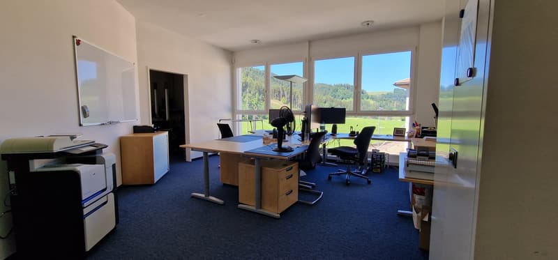 Spacious 6-room office space in tax-friendly Schindellegi (7)