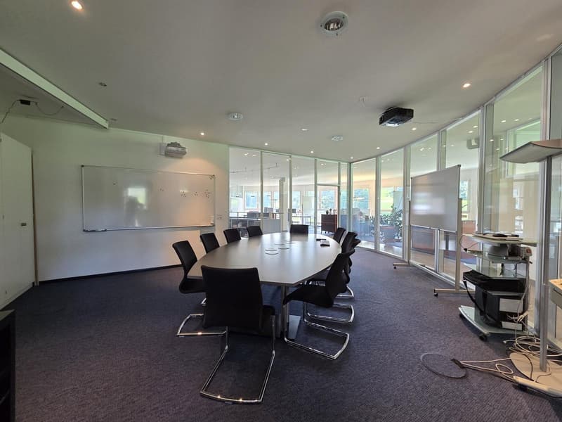 Spacious 6-room office space in tax-friendly Schindellegi (6)