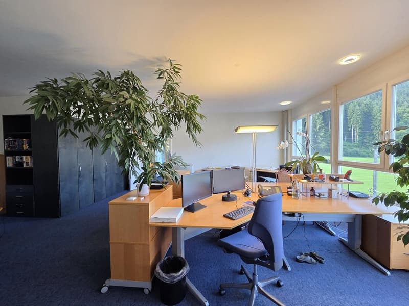 Spacious 6-room office space in tax-friendly Schindellegi (8)