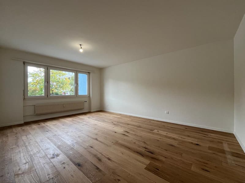 Appartamento moderno ristrutturato in una zona residenziale tranquilla (4)