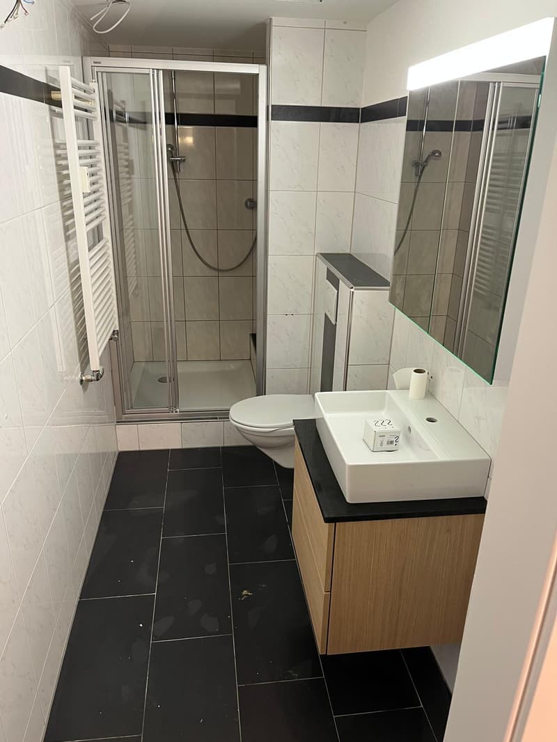 Appartamento moderno ristrutturato in una zona residenziale tranquilla (5)