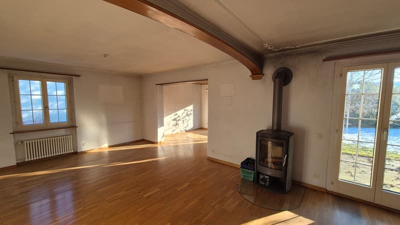 Charming single-family house with great garden and lots of potential (6)