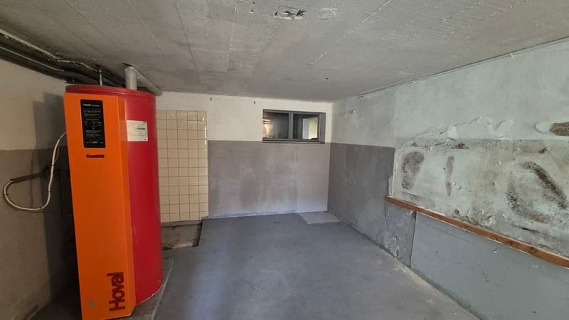 Charming single-family house with great garden and lots of potential (21)