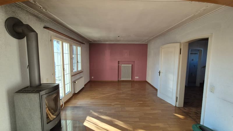 Charming single-family house with great garden and lots of potential (8)