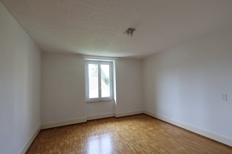 Charming multi-family house with 2 apartments in Trimbach (10)