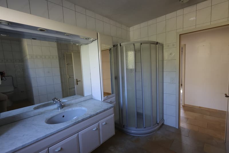 Single-family house with garage and pool in Kyburg-Buchegg (13)