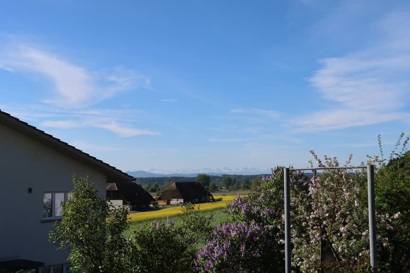 Charmantes Einfamilienhaus mit Pool und grossem Garten in Kyburg-Buchegg (6)